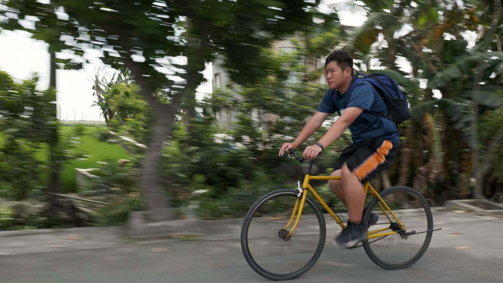 逆轉ㄟ阿坤 少年背著背包騎單車前進，路旁樹影快速掠過